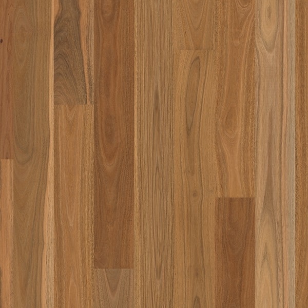 Spotted Gum 1 Strip