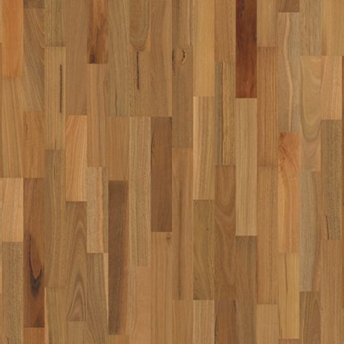 Spotted Gum 3 strip